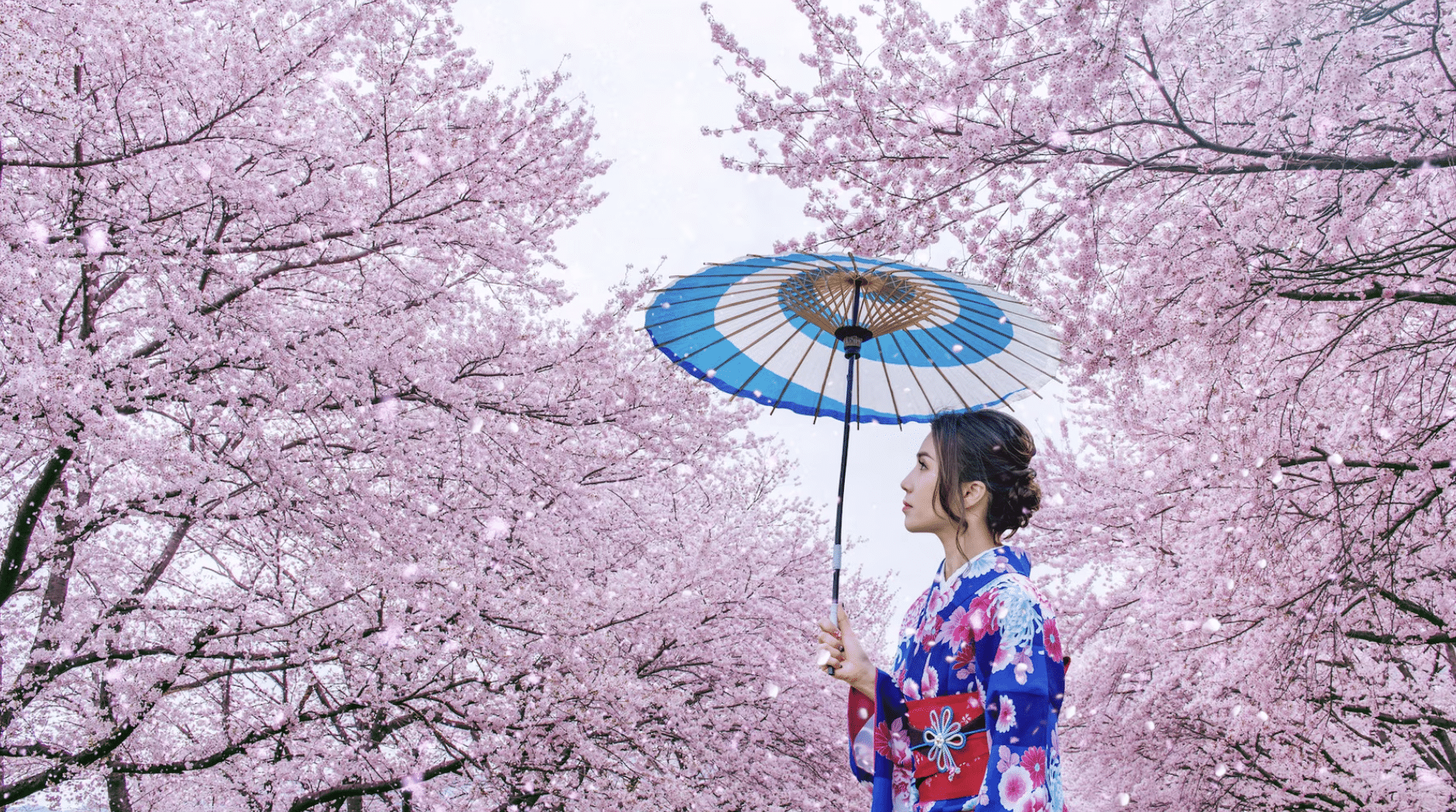 En qué época visitar Japón